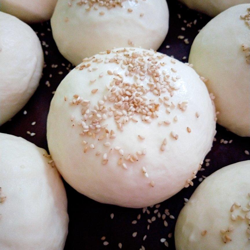 汉堡胚 poolish（波兰种）