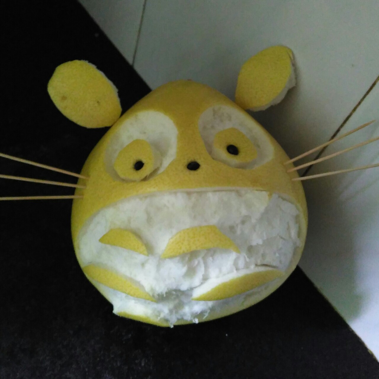 顽皮柚子龙猫