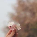 植物盲的植物园
