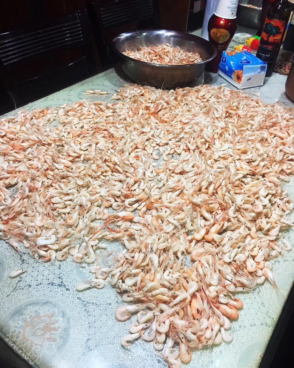 自制虾皮粉