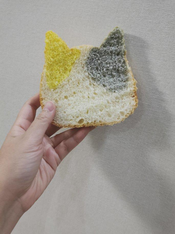 🐈风和日丽🐱可爱猫咪吐司