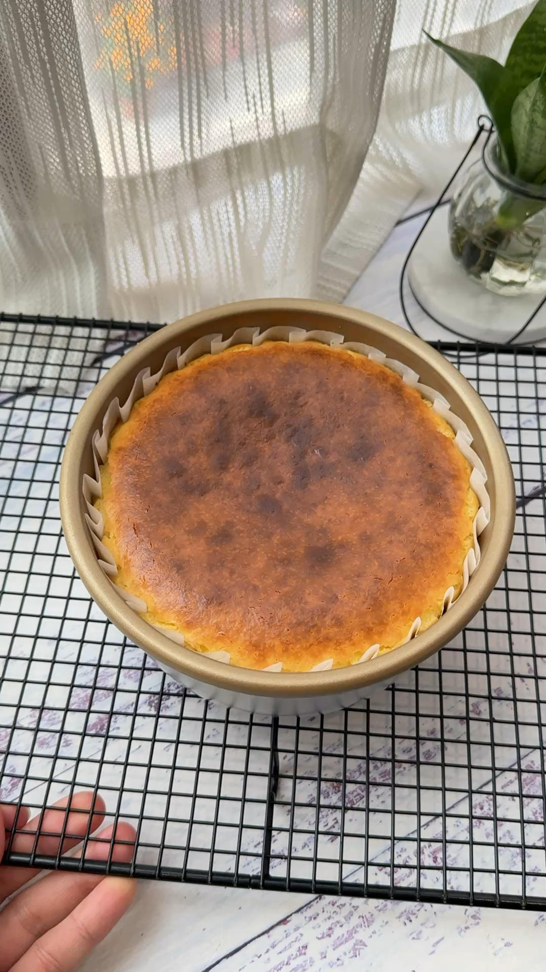 巴斯克芝士蛋糕（可软心可固心）