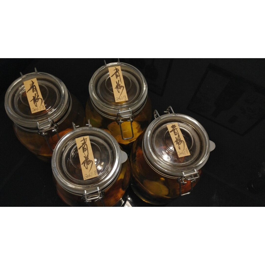 【青梅酒】梅子的沉醉时光（已填坑）