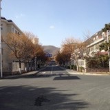 wy希望wy