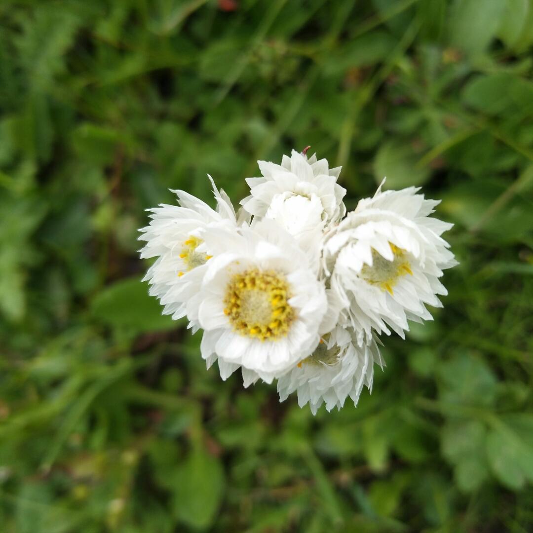 手机用户6676_lhfc