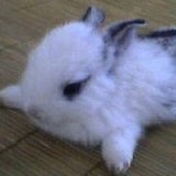 吹西萨玛