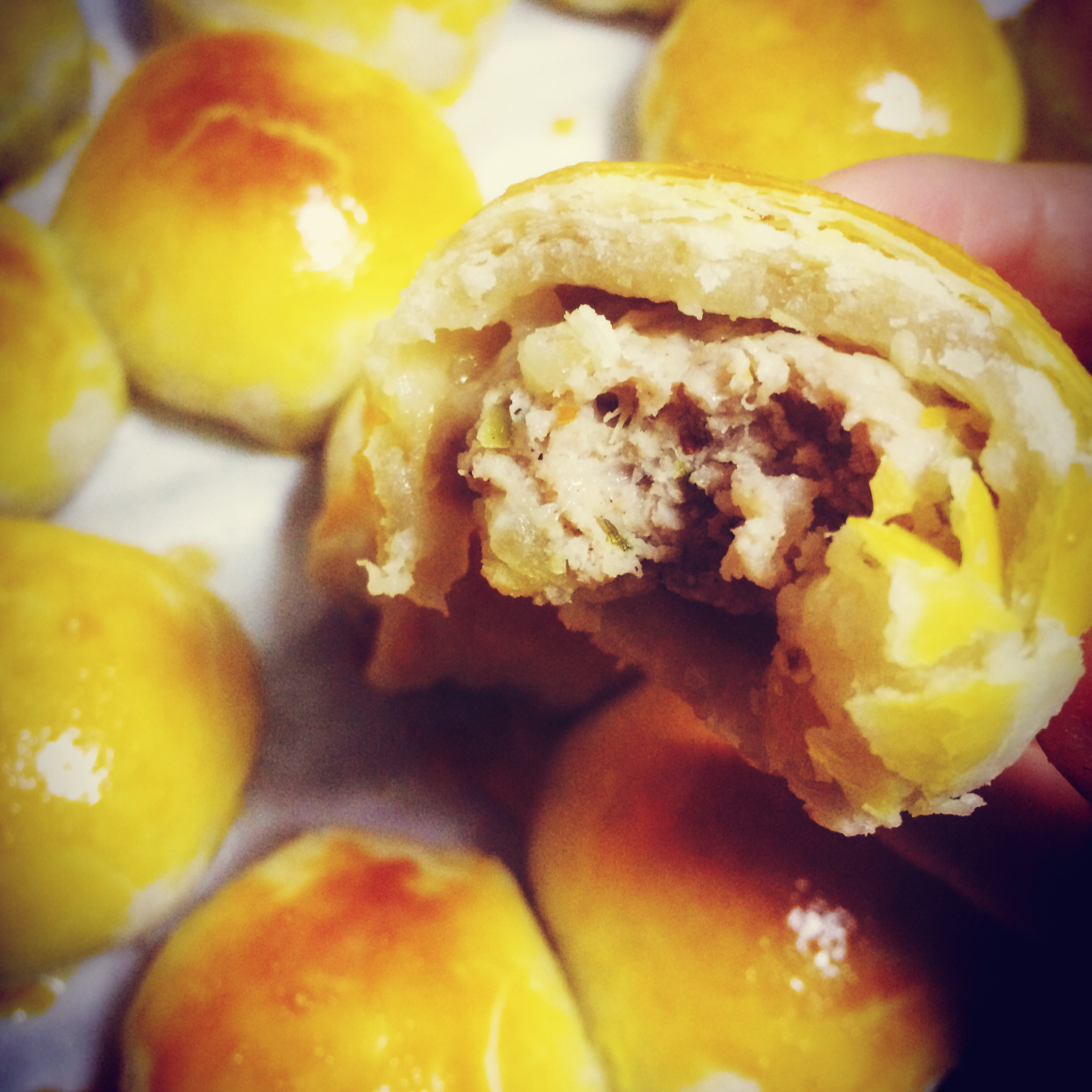 泳式鲜肉榨菜月饼