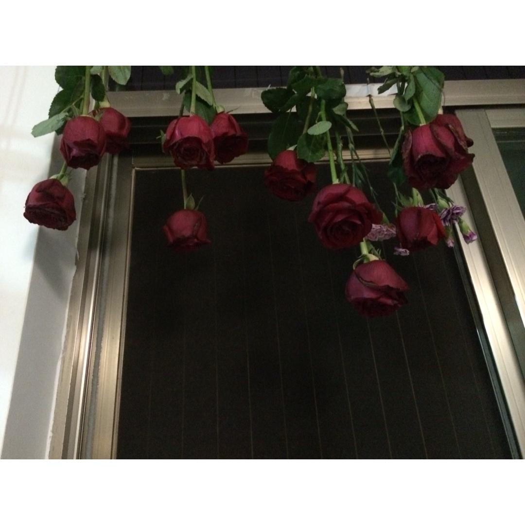 玫瑰花变干花永远保存你的爱