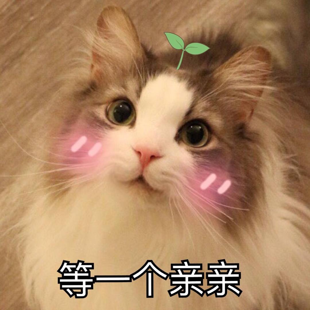 你的芋头要蘸糖吗