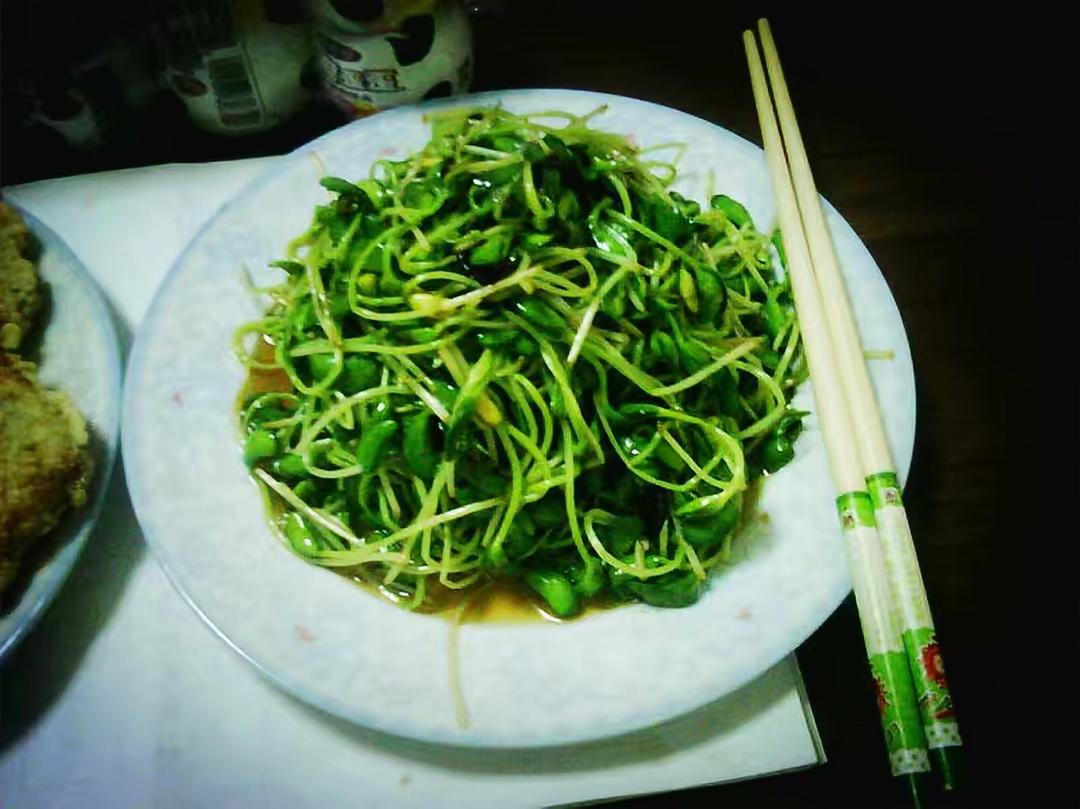 炒黑豆苗