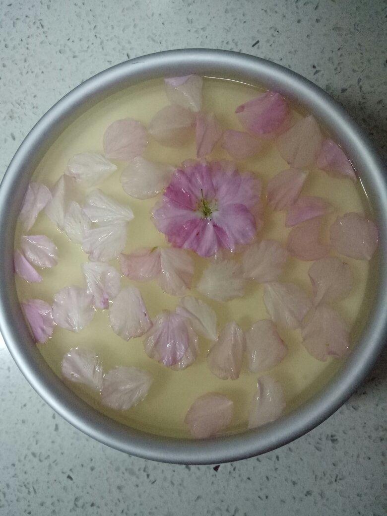 樱花酸奶慕斯蛋糕（免烤）