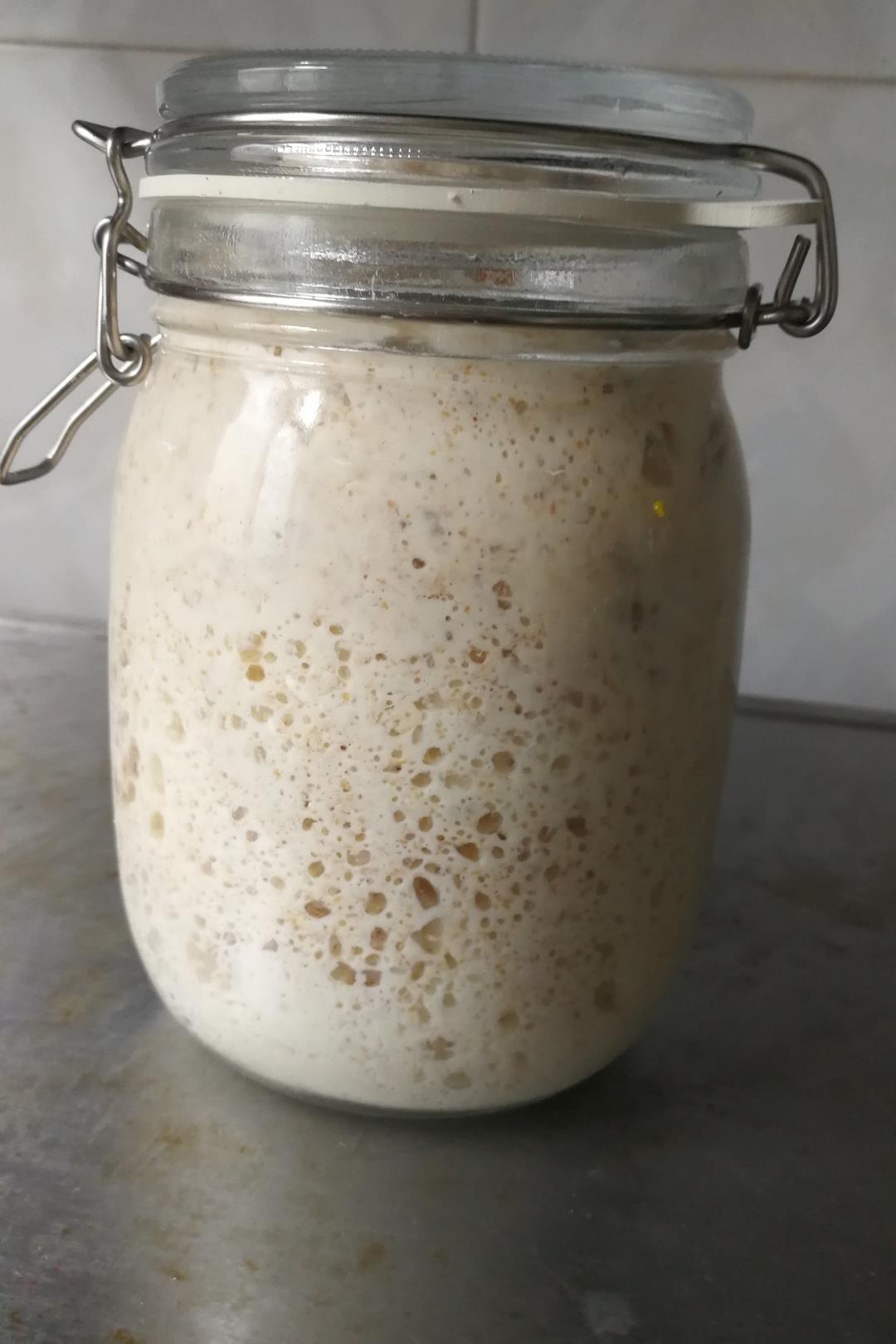 天然酵母宝宝养成记