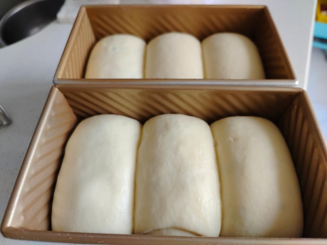 夺命软吐司(๑´ڡ`๑)超软拉丝极速方便的一次发酵吐司