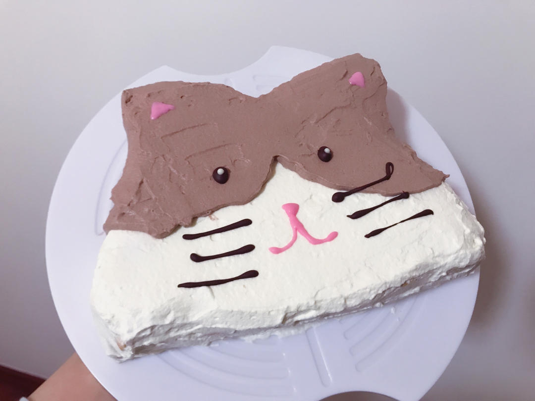 立体猫咪蛋糕