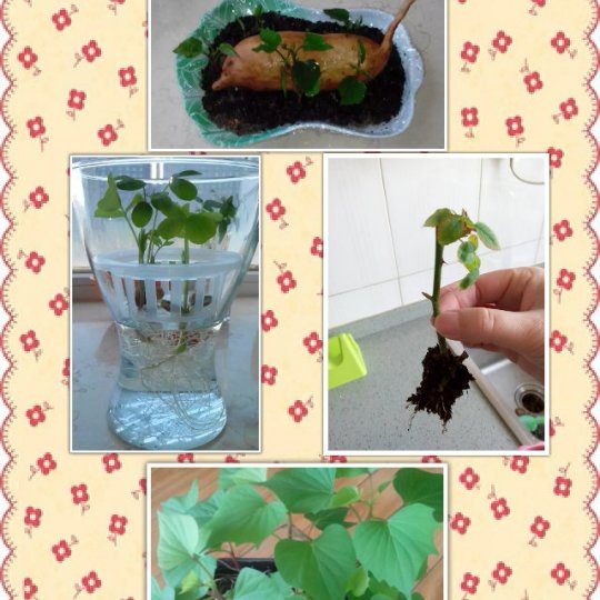 我的小家～我的爱～