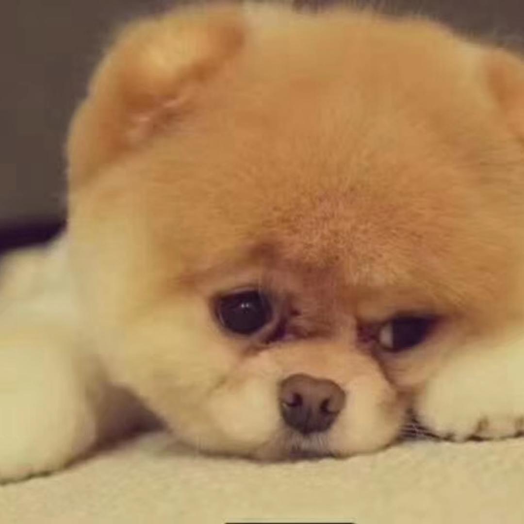 A-铭铭妈甜品私房