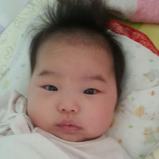 爱睡懒觉的刺猬