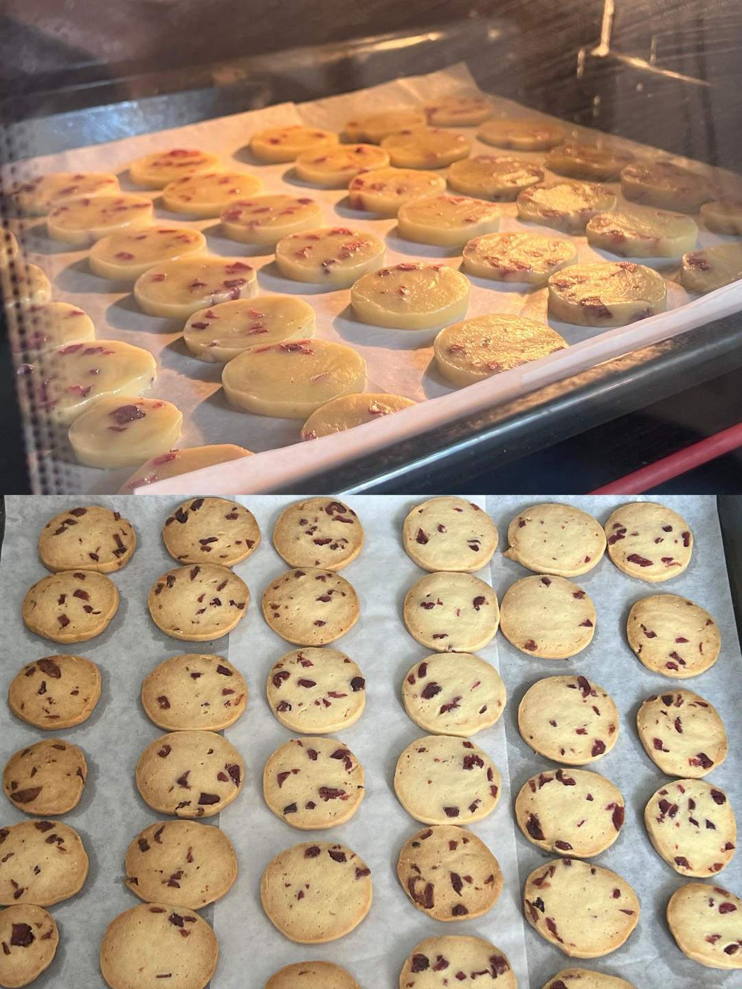 蔓越莓曲奇饼干/零失败/新手必做饼干