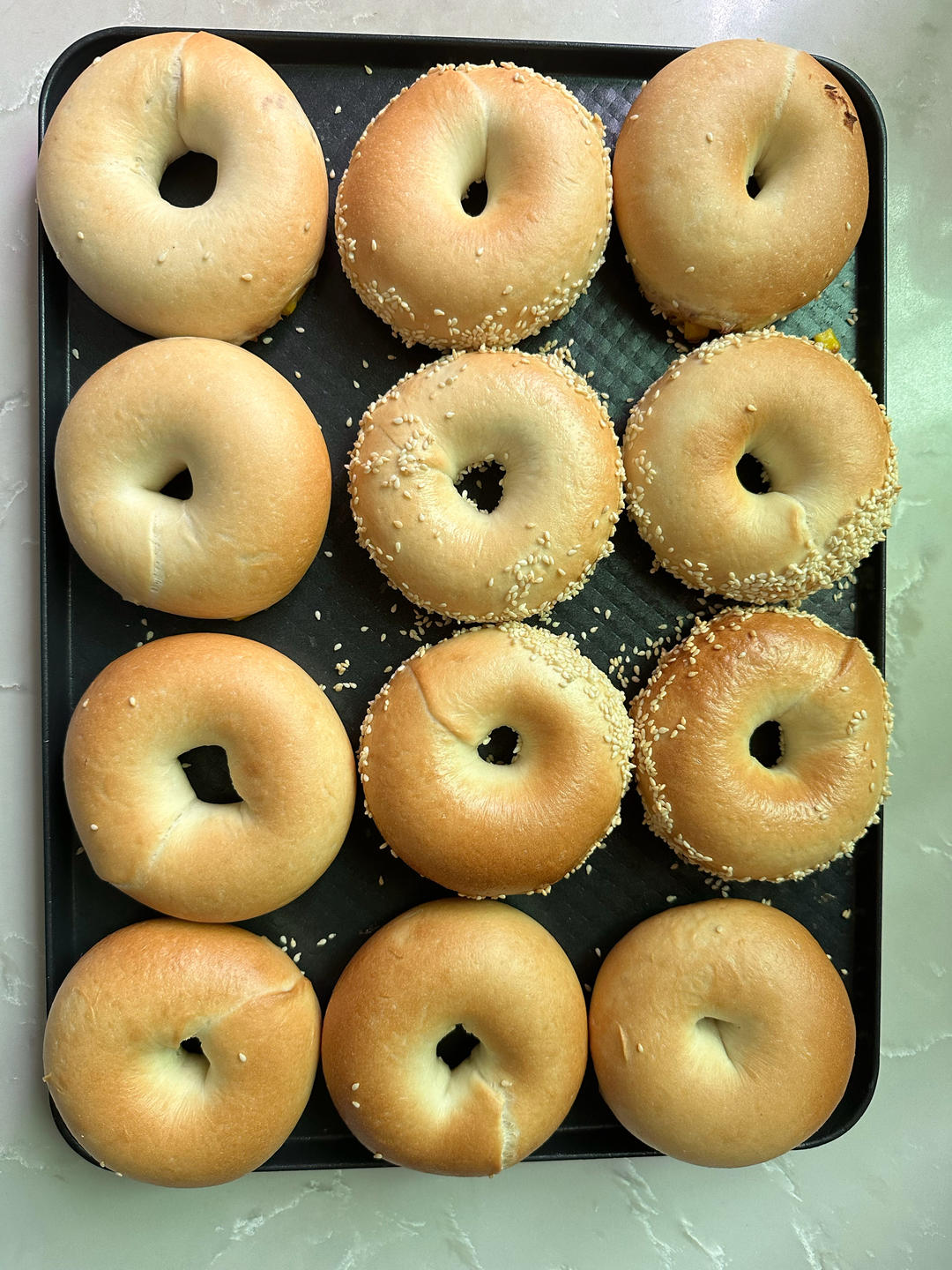 （波兰种）贝果