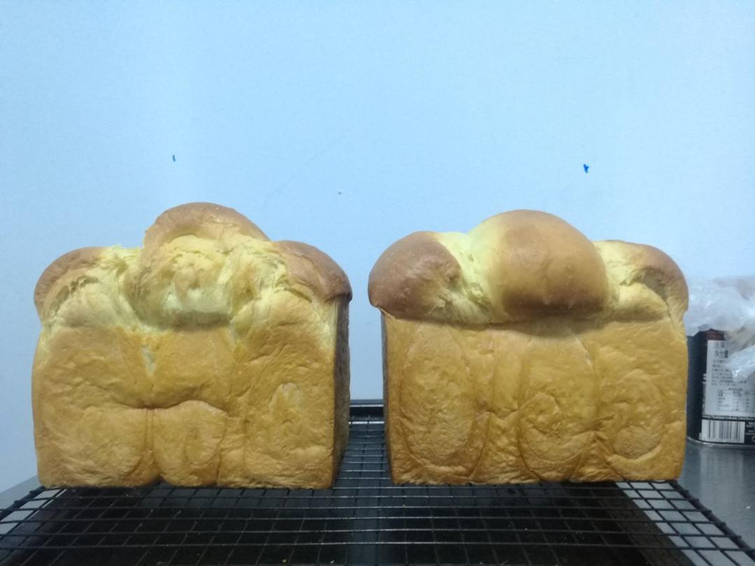 北海道巨蛋吐司