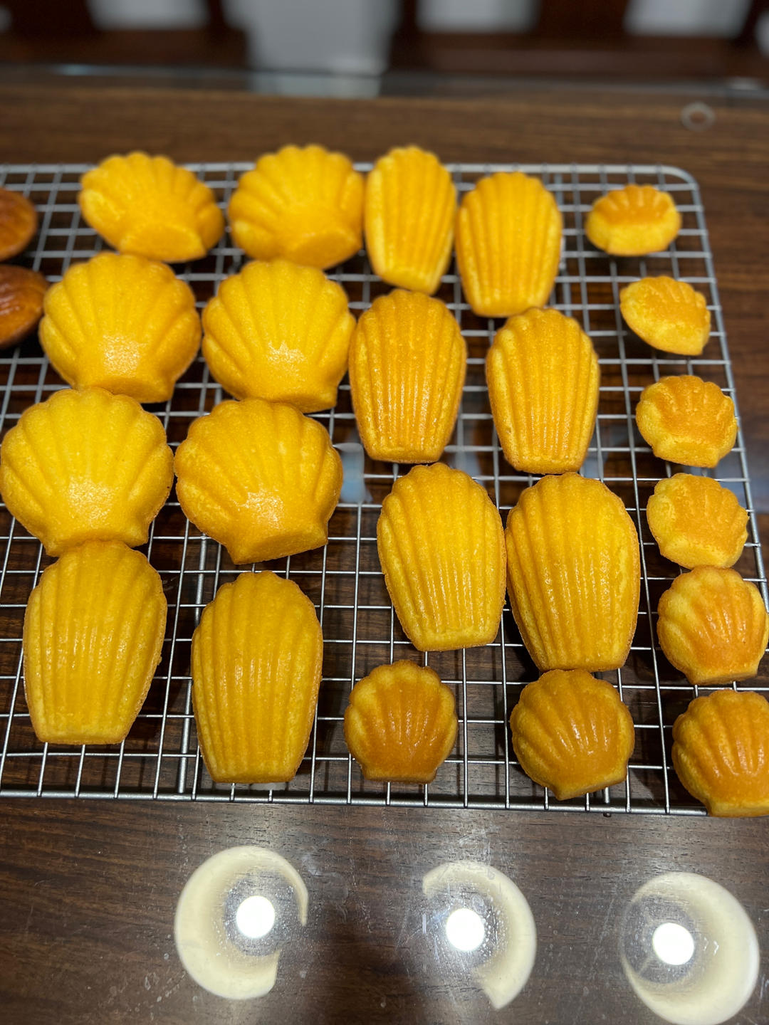 《Tinrry+》柠檬玛德琳