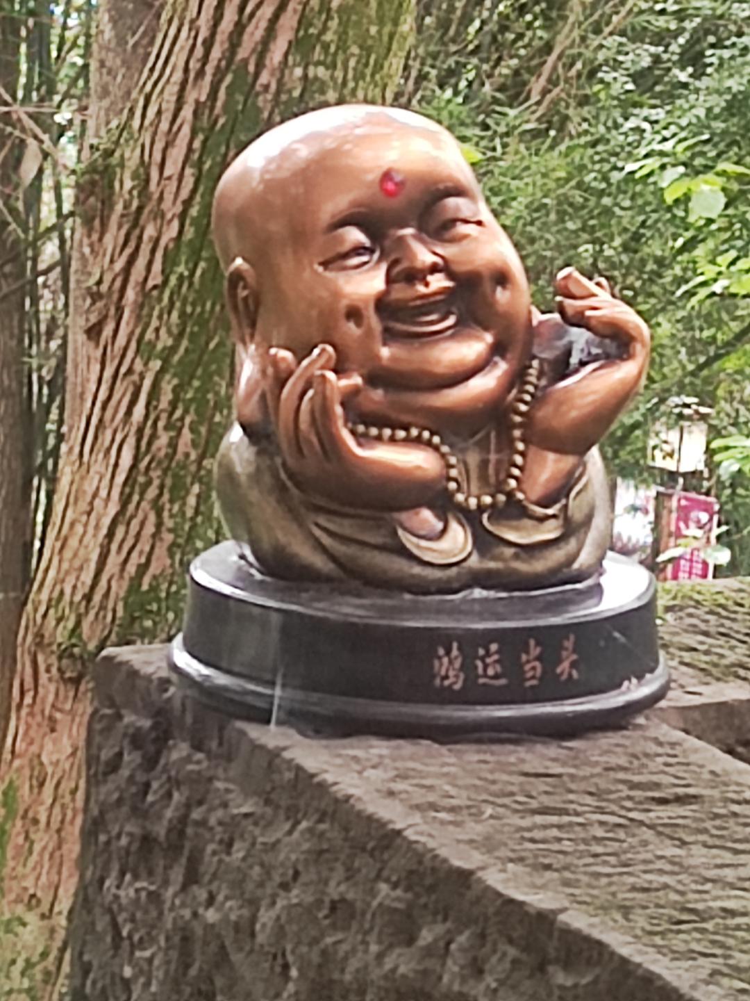陆月樱