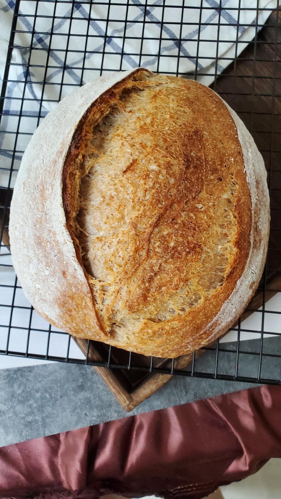 【硬欧笔记】GirlMeetsBread「Sourdough Notebook」