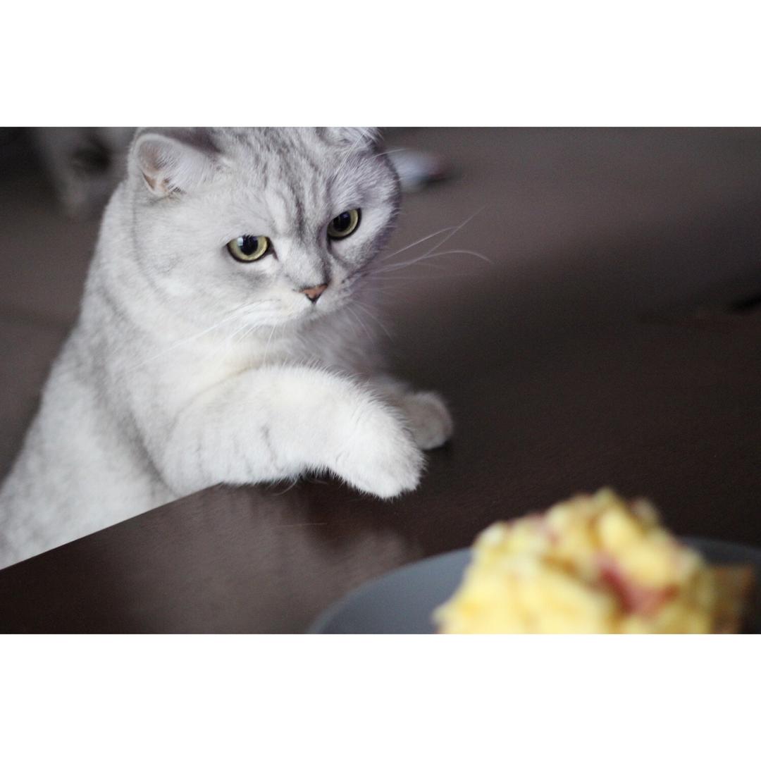 Mr. Dirty 's Breakfast