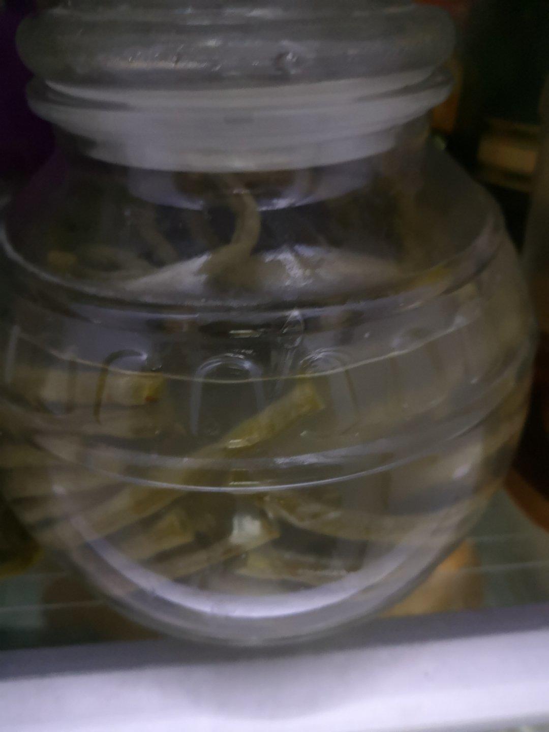 自制酸豆角（史上最简单三天完成）