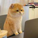 微信用户__PD0_ao92