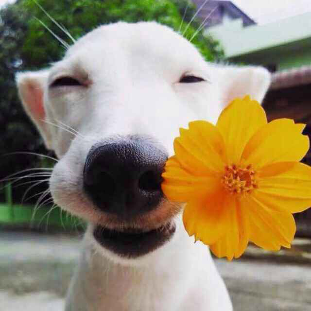 ﹎ωińg.
