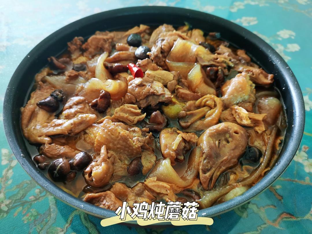鸡肉蘑菇炖宽粉Stewed Chicken with Glass Noodles