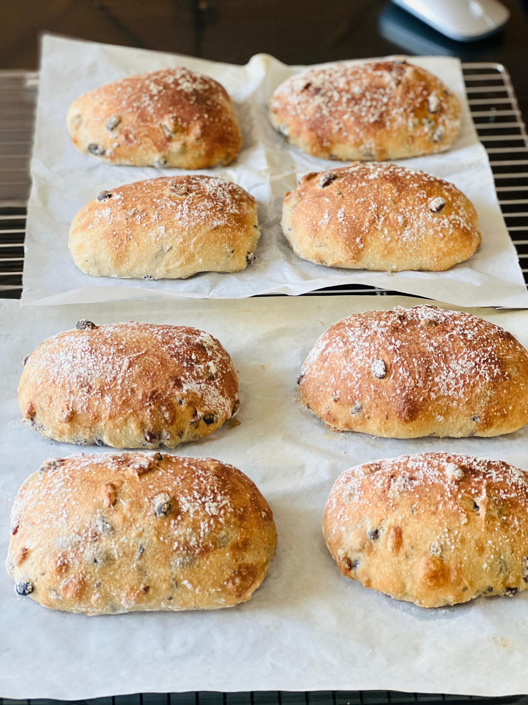 黑豆松子恰巴塔[含水量110%]