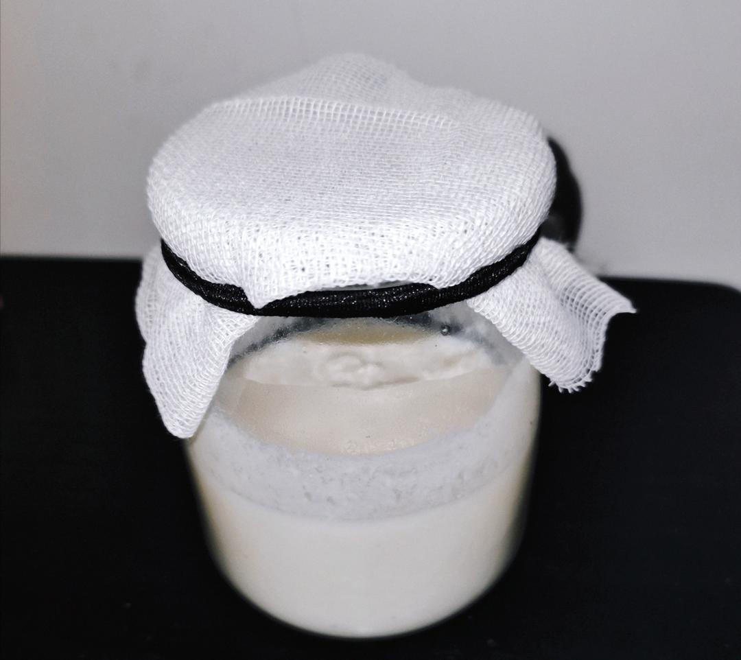 开菲尔酸奶喂养详攻略（milk kefir）丨发酵·奶类