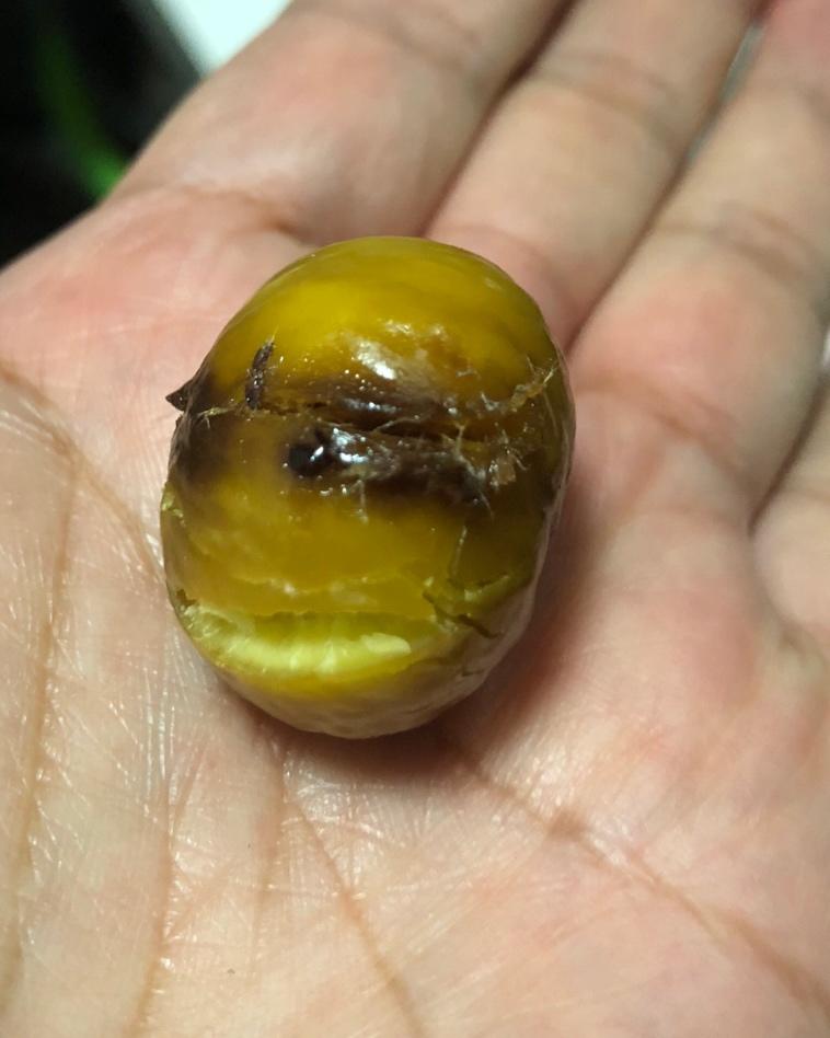 烤箱版糖蜂蜜炒板栗