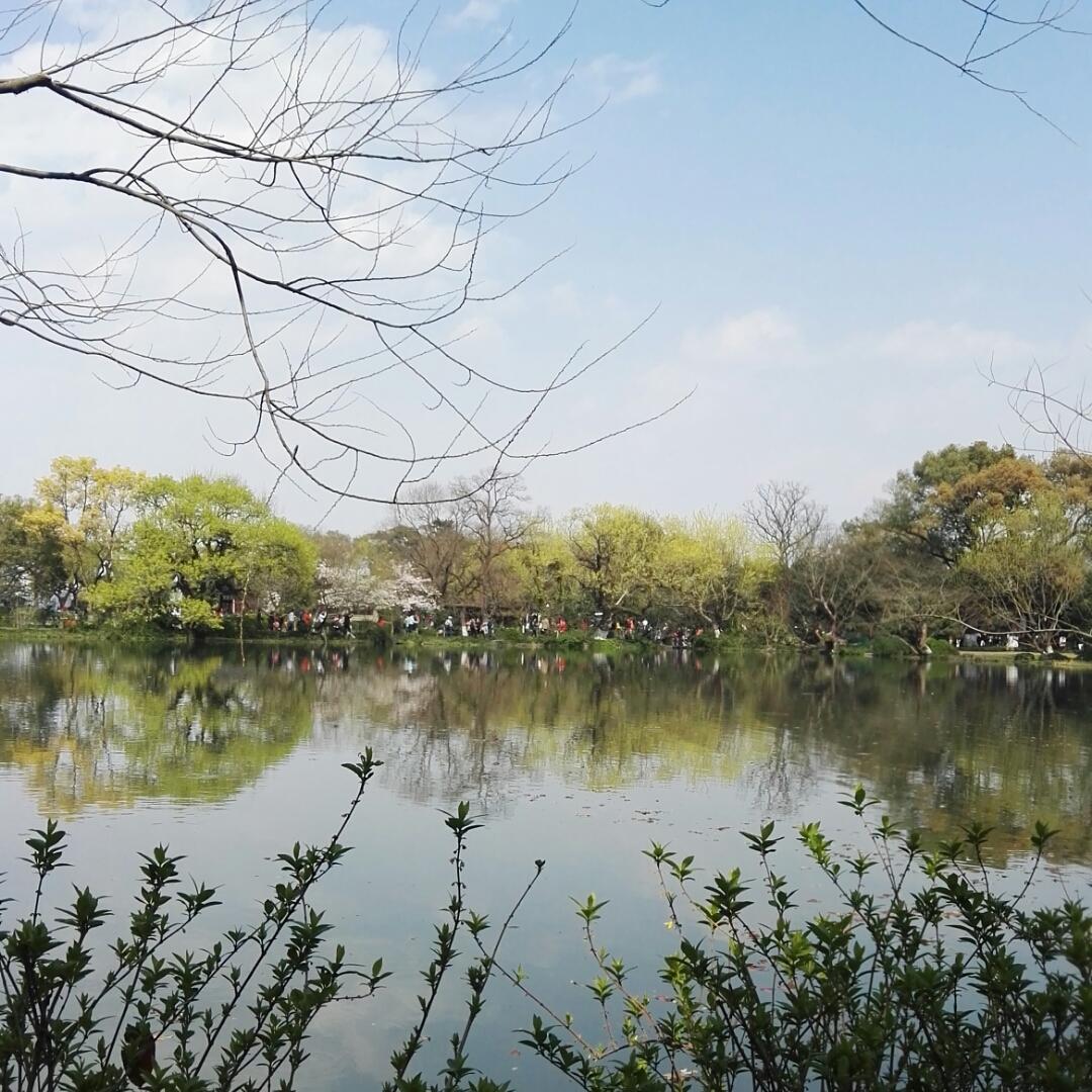 天天妈的小厨艺