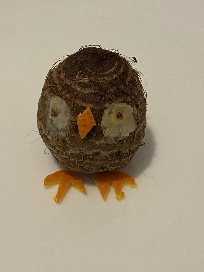 古兰姐姐做的芋头小猫头鹰