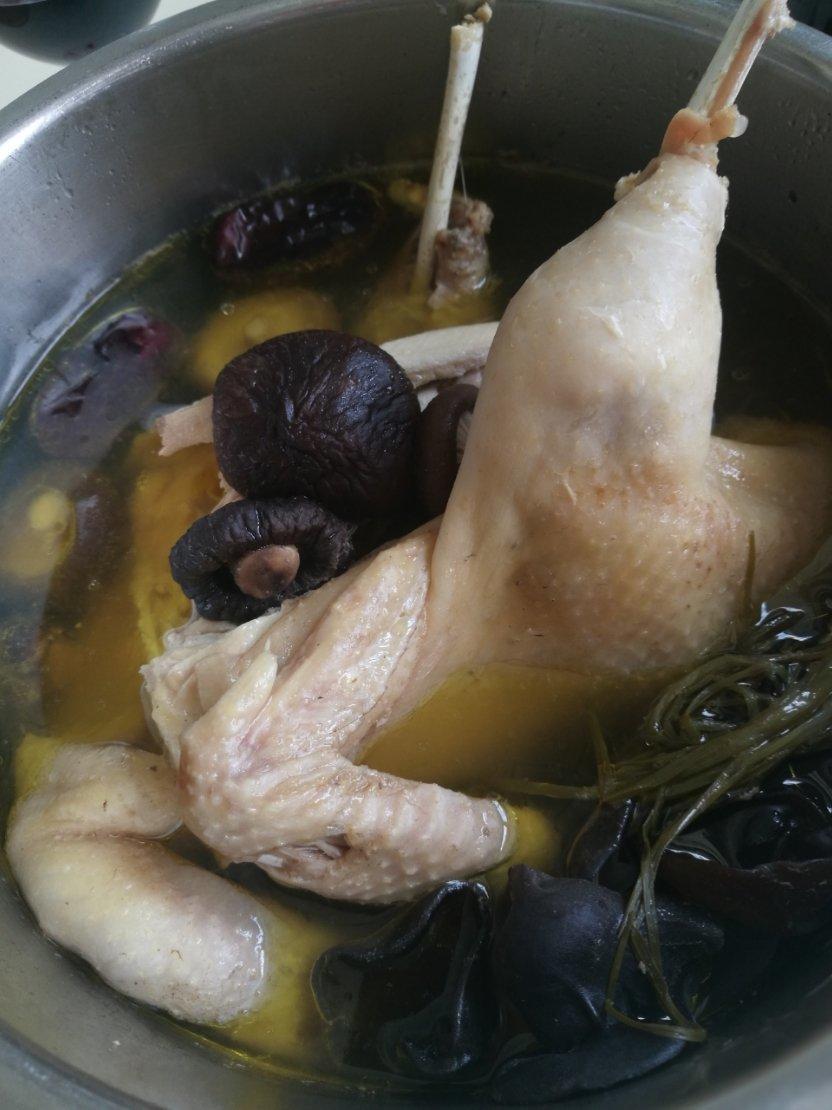 煲靓汤 老母鸡汤