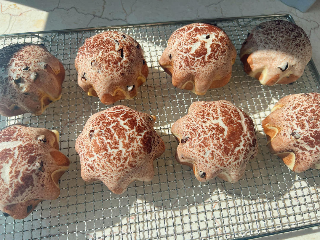 奥利奥乳酪小蘑菇