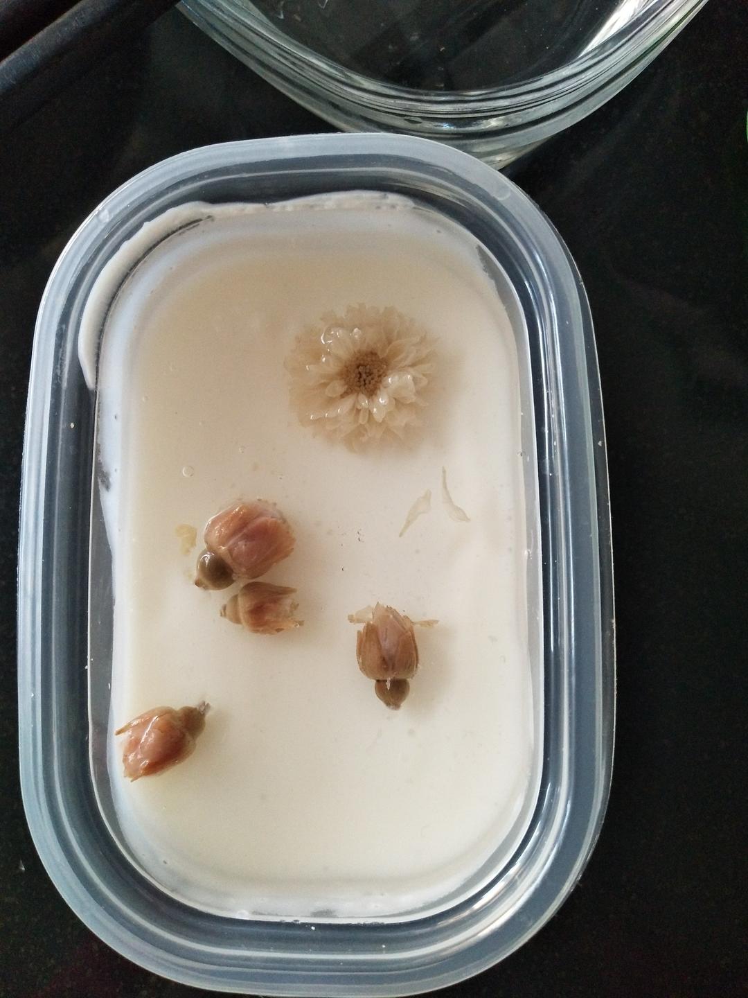 樱花酸奶慕斯蛋糕（免烤）