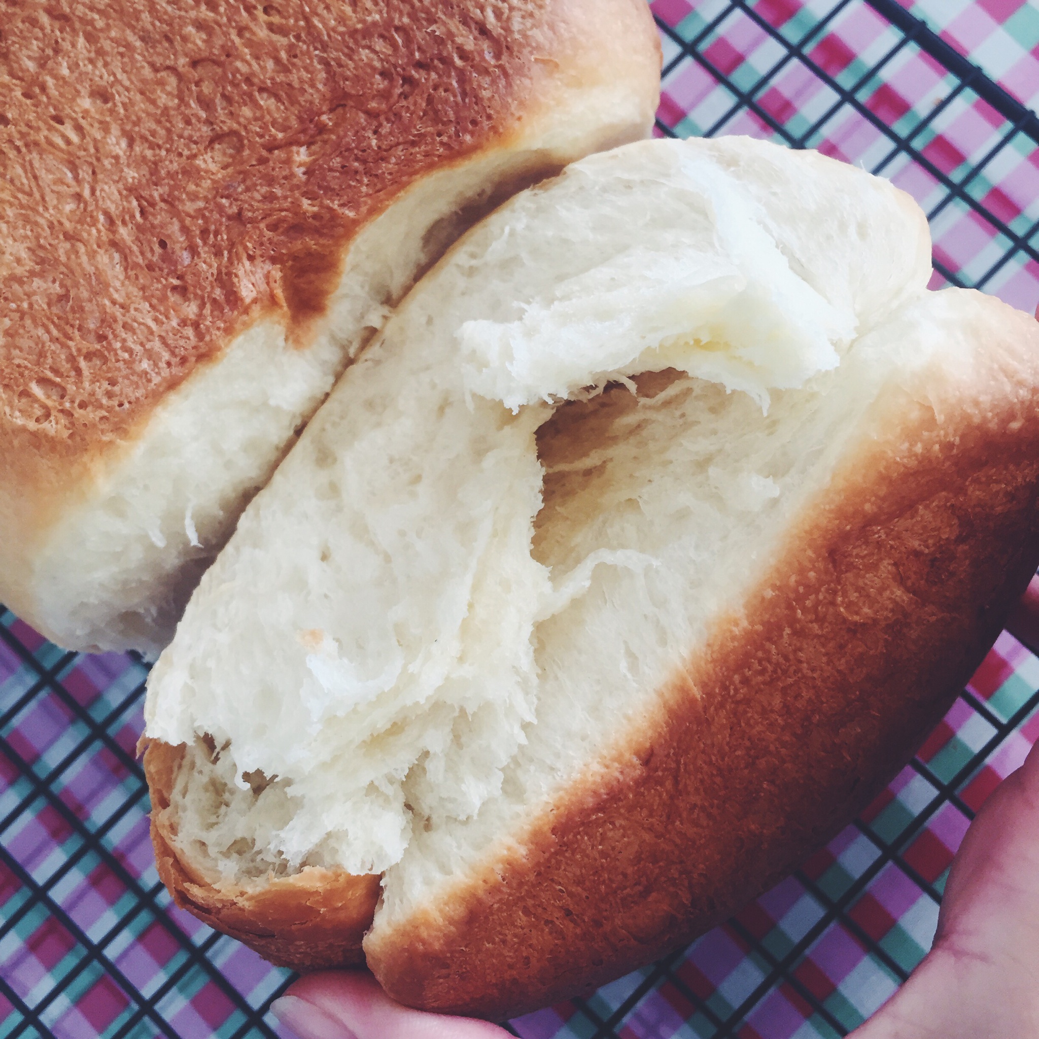 夺命软吐司(๑´ڡ`๑)超软拉丝极速方便的一次发酵吐司