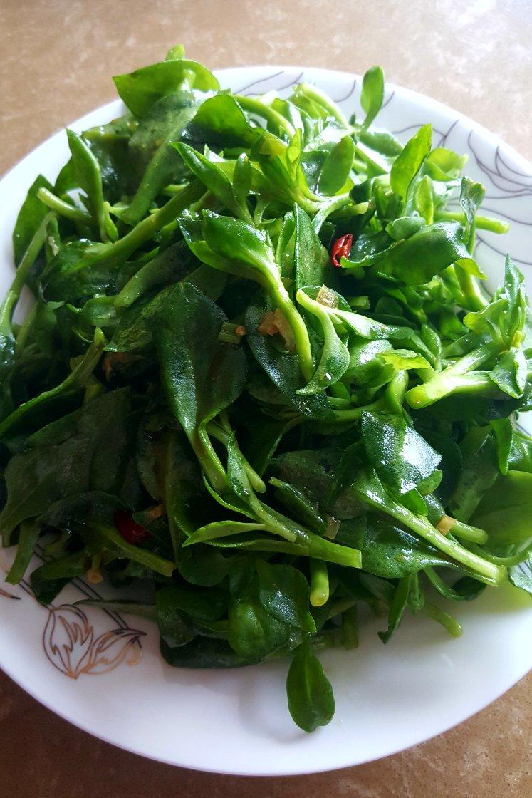 潘晓晓做的凉拌穿心莲