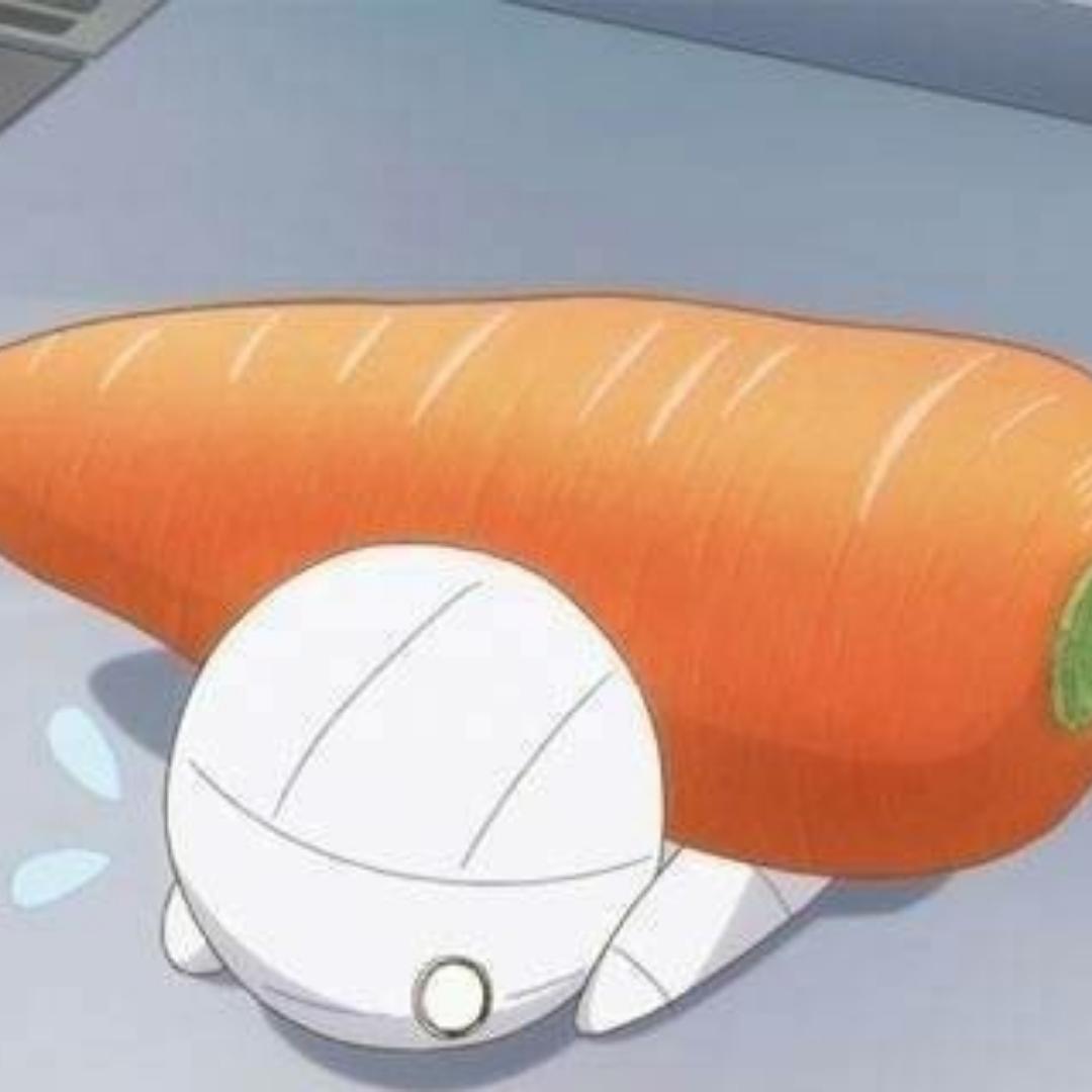 不会煮菜的宝妈