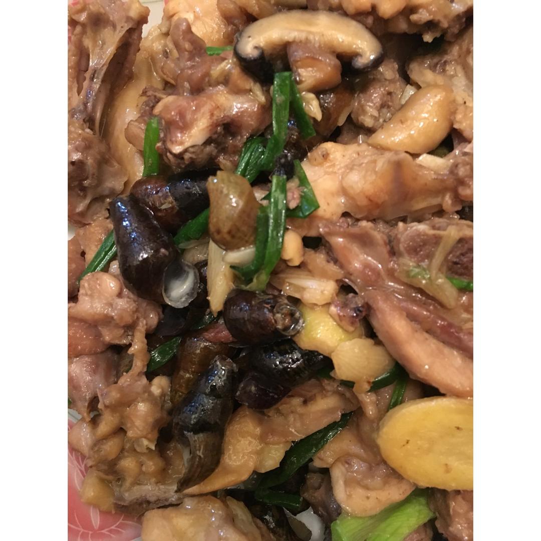 浅浅之恋做的山坑螺焖鸡