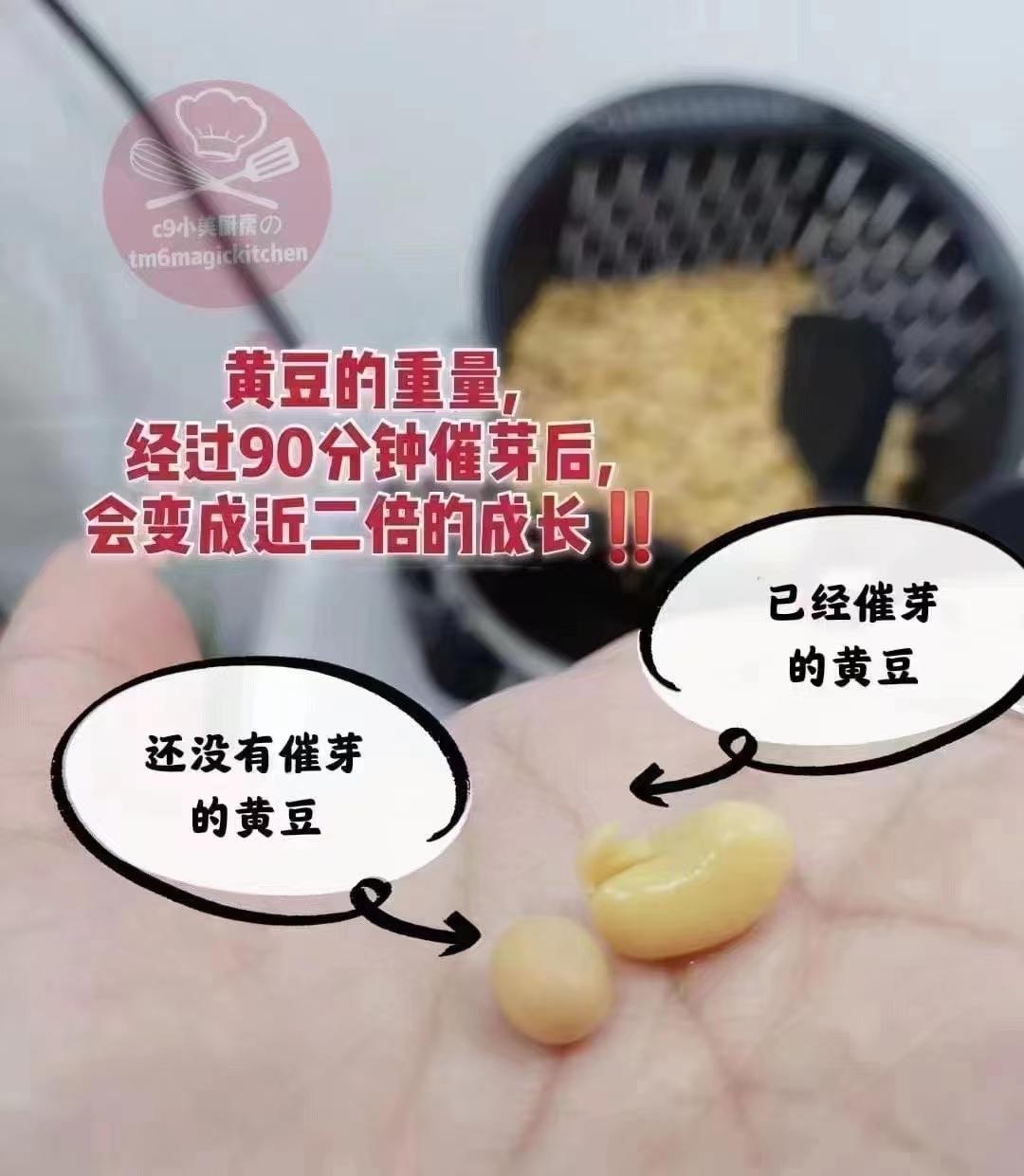 小美的隐藏功能～催发豆芽的做法