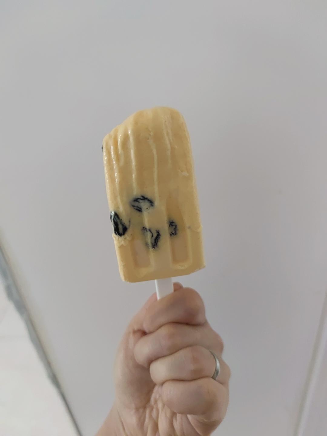 朗姆黑加仑冰淇淋 Rum Raisin Ice cream