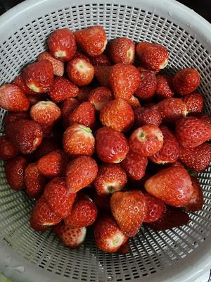 冰点草莓的做法 步骤1