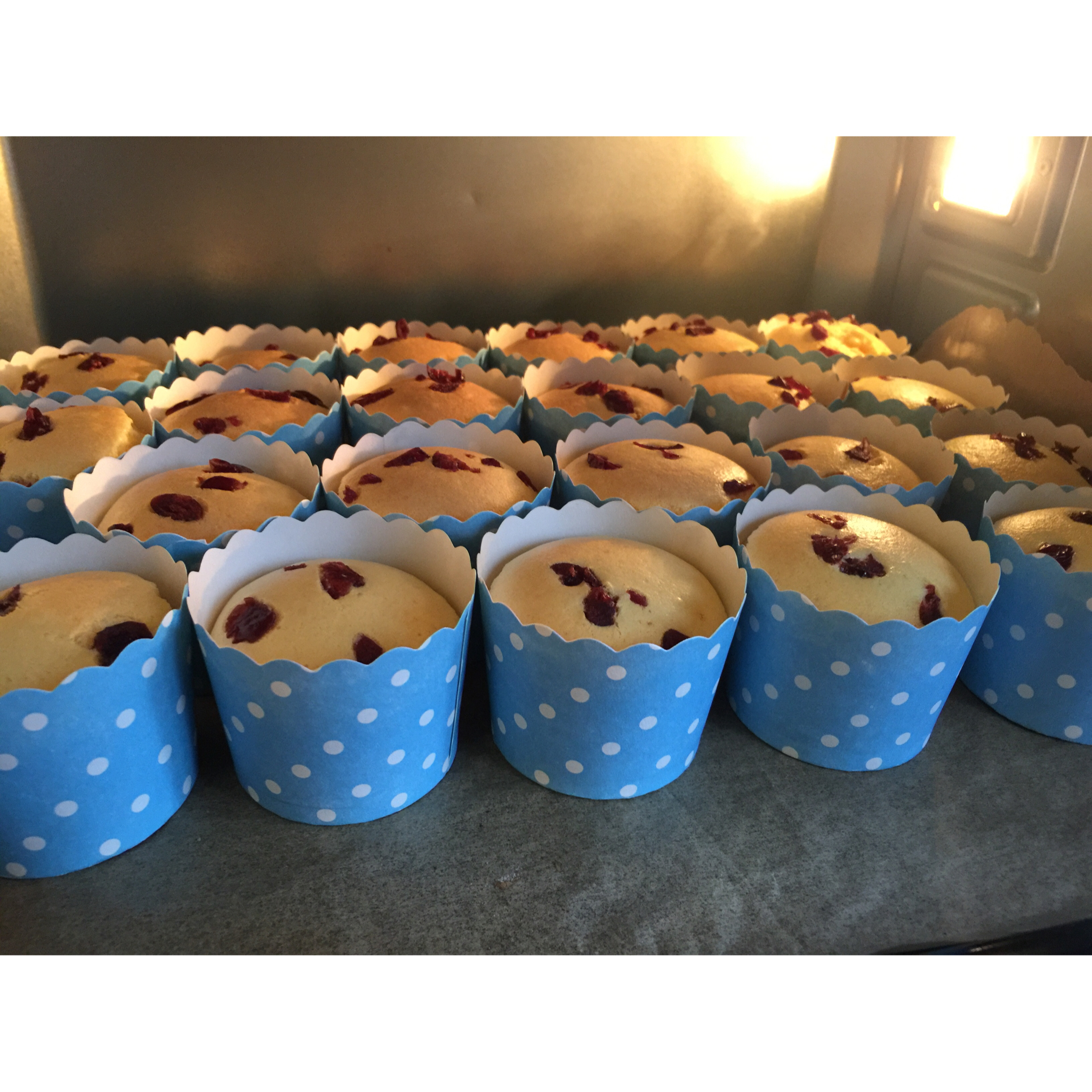 蛋香十足の海绵杯子蛋糕，伴手礼好选择。