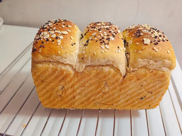 蜂蜜燕麦全麦吐司 100%全麦 波兰种