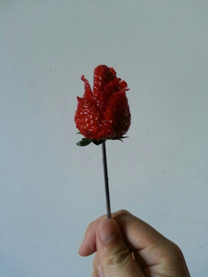 草莓玫瑰花